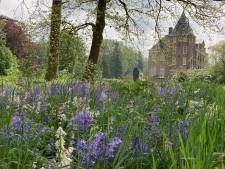 Rondleidingen met gids langs bijzondere bomen in tuin bij kasteel Verwolde in Laren