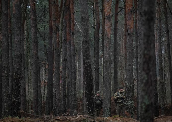 The frontier lands consist of dense forests, flooded fields, thick mud, and treacherous swamps.
