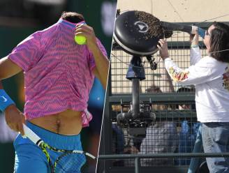 “Nog nooit zoiets gezien in tennismatch”: Alcaraz kan pas na bijna twee uur weer verder na aanval van bijen