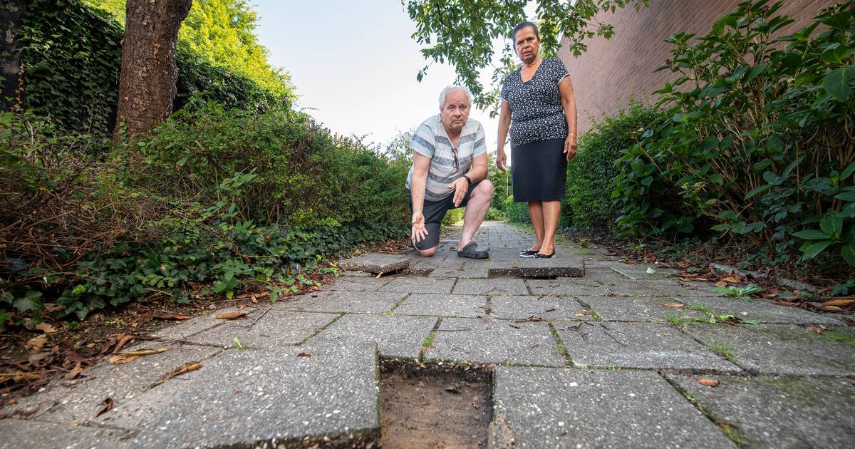 Ernstig ongeluk door loszittende tegels, Apeldoorn kwam volgens buurt niet in actie: ‘Een schande’.