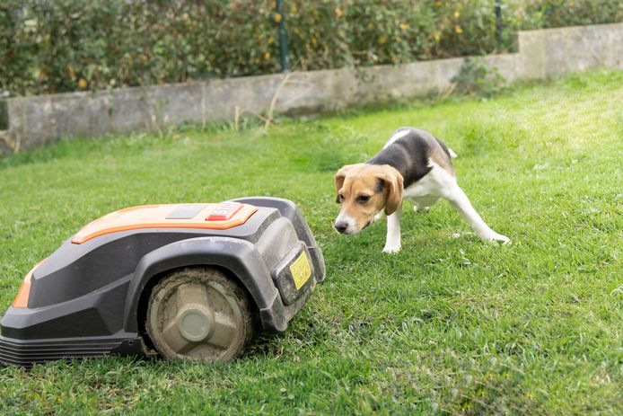 oppervlakkig rotatie Europa Getest: dit is de beste robotgrasmaaier | Best getest | AD.nl