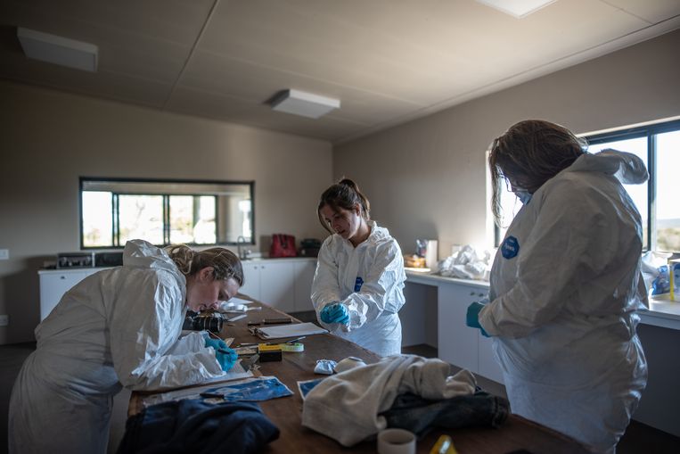 In het lab analyseren studenten bewijsmateriaal. Onder: nepbloed op een kogelgat in de kop van een opgezette neushoorn.  Beeld  Tommy Trenchard