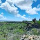 Geef Plantage Bolivia op Bonaire natuurrechten, dat is van belang tegen klimaatverandering