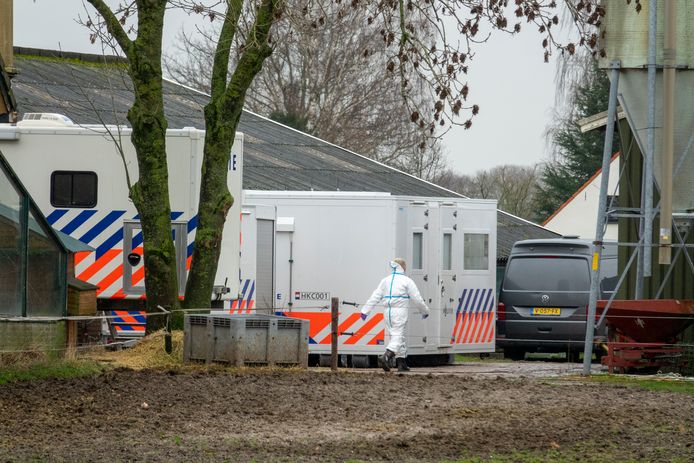 Zwaarbewapende bewakers, speurders in witte pakken en een flink peloton agenten: de politie heeft deze donderdag een grote inval gedaan bij een boerderij in Millingen.
