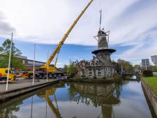 Wateringse molen Windlust kan weer 50 jaar mee met nieuwe roeden