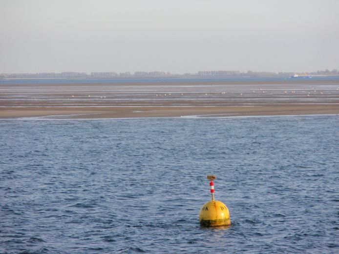 De Roggenplaat in de Oosterschelde. Als er geen nieuw zand wordt opgespoten, verdwijnt de plaat langzaam maar zeker in de golven.
