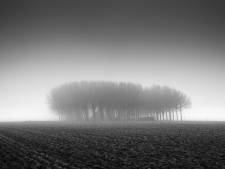 Fotograaf Frank Peters vangt Zeeuwse parels in een zee van mist