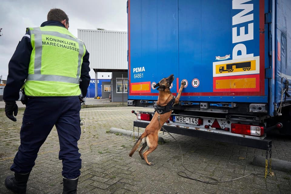 Een speurhond slaat aan op een vrachtwagen in Hoek van Holland.