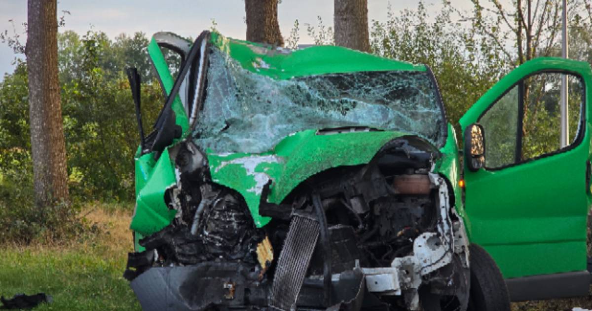 Bestelbus klapt frontaal op boom op Stapelerweg in De Wijk | 112 nieuws De Wolden