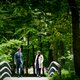 Is een partijfusie in Nederland een goed idee?
