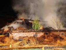 Brand verwoest bezoekerscentrum museumboerderij Heeswijk-Dinther: ‘Smoel van ons museum is weg’