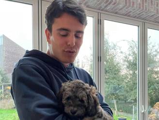 Conner Rousseau verwelkomt nieuw familielid: Blacky, een schattige labradoodle