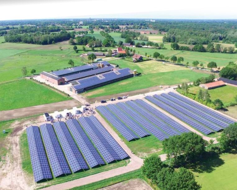 De zonneweide bij Weert, waar ook de panelen op de boerderij bij horen. In een van de witte containers bij de zonneweide zit de buurtbatterij. Beeld WeertEnergie