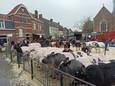 De 153ste editie van de Vette Veemarkt in Zomergem kon vorig jaar op heel wat belangstelling rekenen.