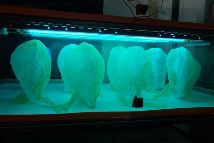 Bacteriële en virale ontsmetting met UVC-licht