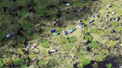 Wageningen maakt stadsgracht schoon