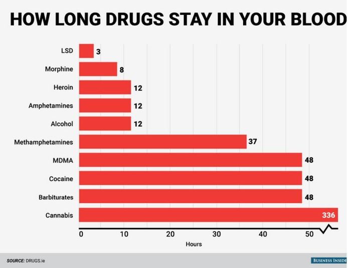 Zo Lang Blijven Drugs In Je Lichaam Opspoorbaar | Wetenschap & Planeet |  Hln.Be