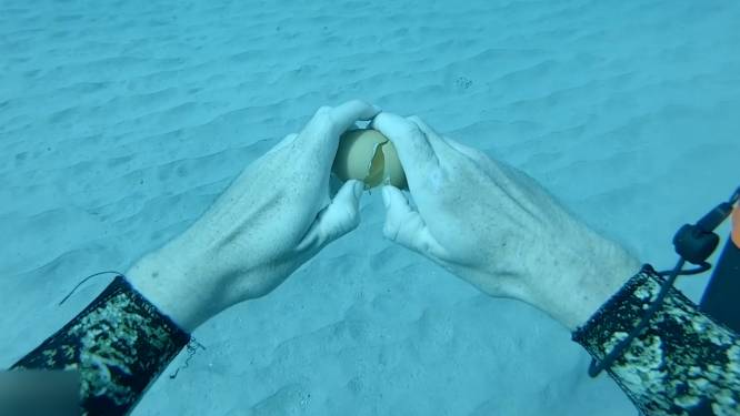 Wat gebeurt wanneer je onder water een ei breekt?