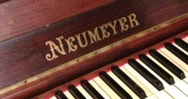 Pianostemmer Rhenoy krijgt vandaag straf te horen voor aanval op dominee