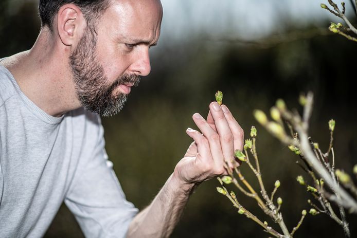 Emile van der Staak in het voedselbos van Wouter van Eck. De jonge scheut van de pimpernoot, in de volksmond ook wel klootzakkenboom, is eetbaar. En smaakt naar asperge.