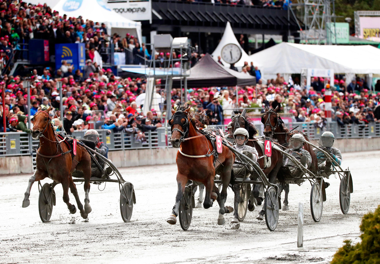 Paardenrace die vorig jaar plaatsvond op een drafbaan in Stockholm. Beeld EPA