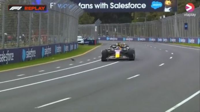 Verstappen moet uitwijken voor een vogel