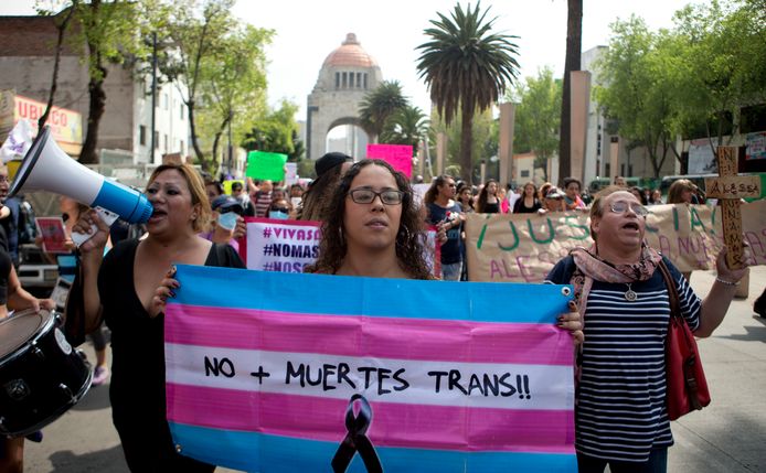 Een vrouw met een transgendervlag tijdens een betoging in Mexico in 2016.