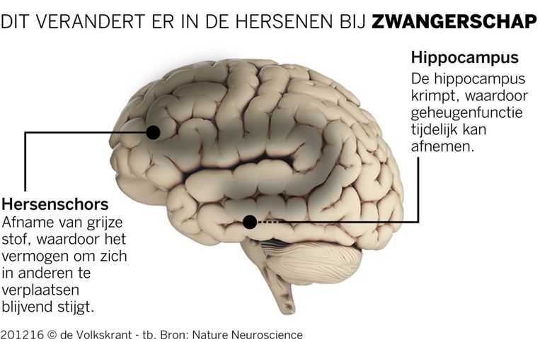 kos Beeld De Volkskrant 