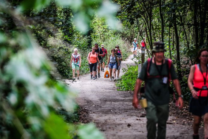 Vierdaagse van de IJzer