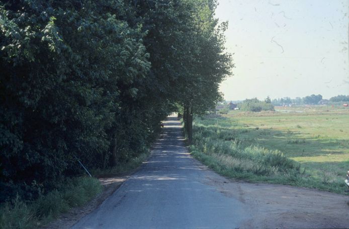 Het Perenlaantje in Elden in 1980, ooit de toegangsweg naar Huis Westerveld.