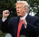 Hilariteit in Finland: volgens Trump harken de Finnen hun bossen om branden te voorkomen