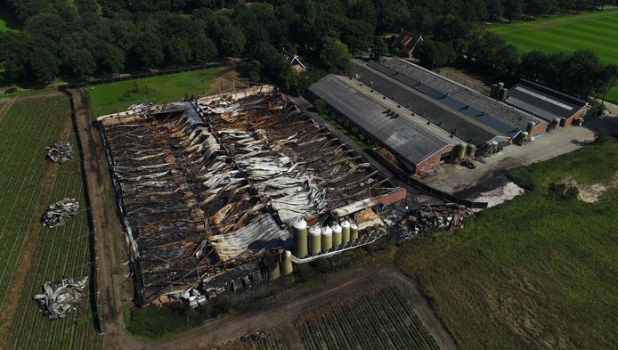 De schade na een grote brand op een varkensfokkerij waarbij veel varkens omkwamen