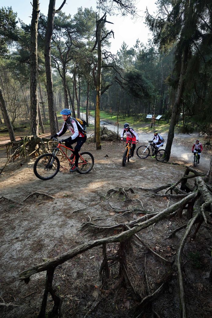 De mountainbikers van Mellowbikers rijden een heuveltje op in de bossen bij Bergen op Zoom.