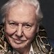 Sir David Attenborough (92), de peetvader van de natuurdocumentaire: 'De gruwelijkste dingen heb ik nooit getoond, want dan had de kijker meteen weggezapt'