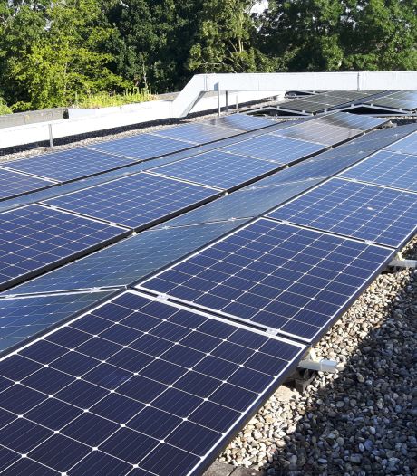 Gratis advies van zonneconsulent voor West Betuwse ondernemers die zonnepanelen op hun dak willen