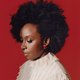 ‘Ze schreven dat de dood van mijn ouders mijn verdiende loon was, omdat ik transfoob was’: schrijfster Chimamanda Ngozi Adichie