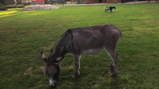 Een portie vrolijkheid: dit zijn geluksplekken in Eindhoven