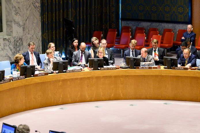 De VN-Veiligheidsraad.