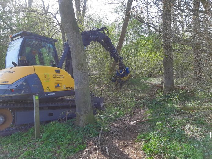 Weijtmans uit Udenhout ruimt omgewaaide bomen op bij de Meerse Plas.