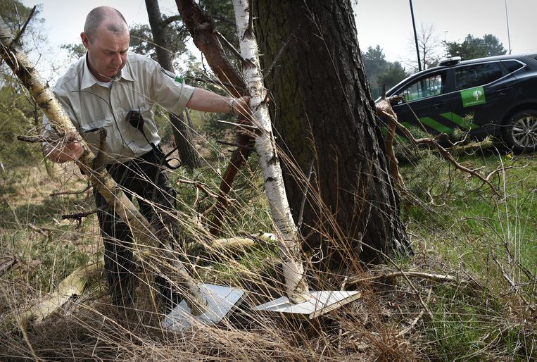 Boswachter Sjaak Smits vindt gedumpt afval achter een boom. Beeld Marcel van den Bergh