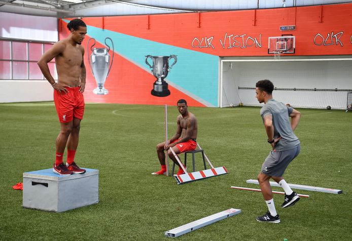 Georginio Wijnaldum en Virgil van Dijk.