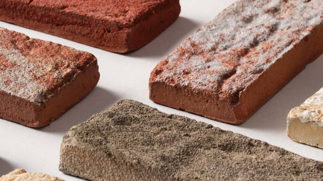 Primeur: voortaan baksteenstrippen op maat geprint én CO2-neutraal geproduceerd