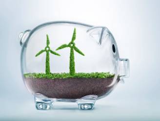 Steeds meer groene beleggingsfondsen: maar hoe duurzaam zijn ze echt?