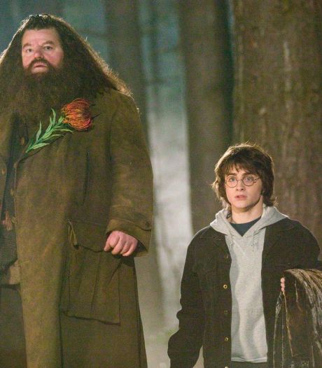 Eerste Harry Potter-film weer in de bios, voor het eerst in 4DX