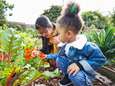 Ils proposent de cultiver local pour nourrir nos enfants