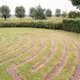 Labyrintlopen: dwaaltuinen die je de weg wijzen
