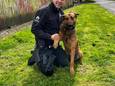 Politie Westkust beschikt met Marco over hond die zowel kan patrouilleren als drugs opsporen