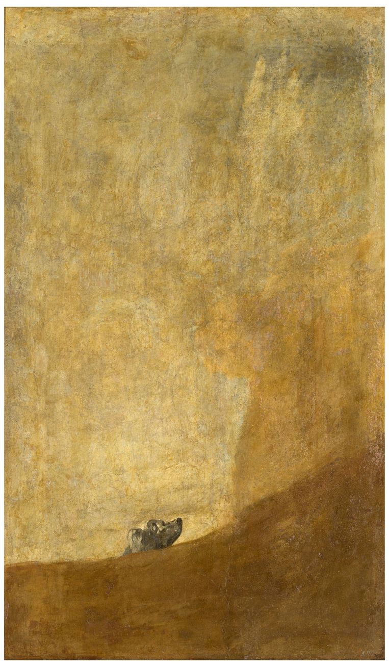 De (verdrinkende) hond, Francisco Goya. Beeld Prado Madrid