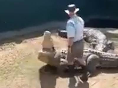 4,8 meter lange krokodil Hannibal bijt oppasser in dierenpark