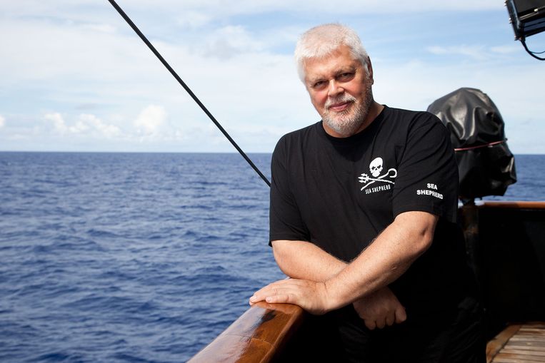 Paul Watson, oprichter van de Sea Shepherd. Beeld AFP